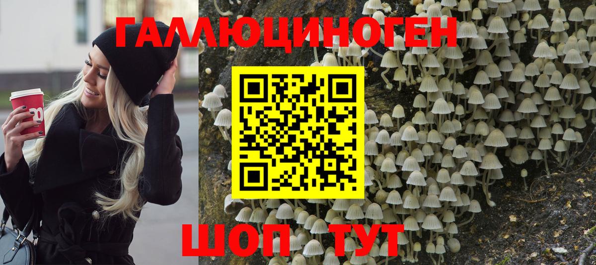 Псилоцибиновые грибы мицелий  Псилоцибиновые грибы мухоморы  Вход с VPN  Коммунар 