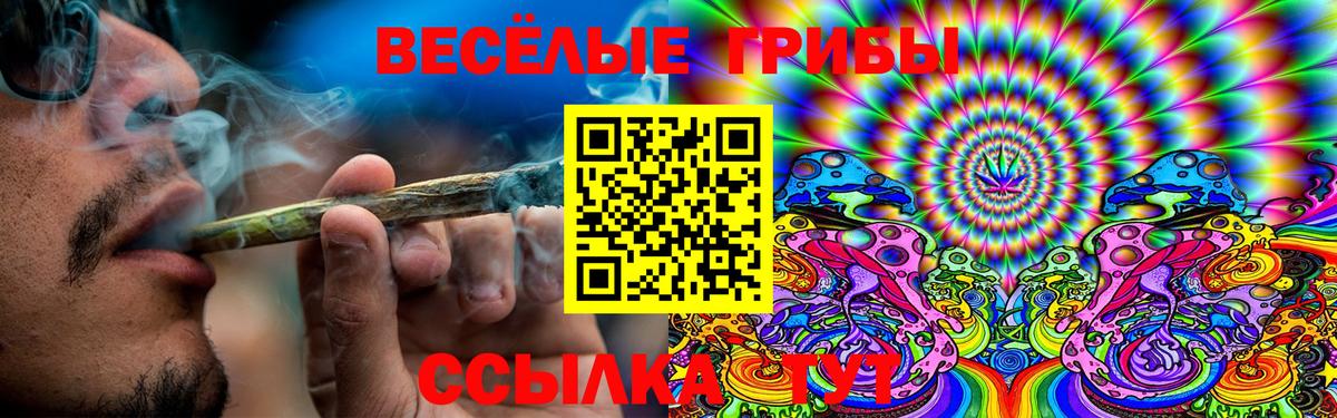 Псилоцибиновые грибы GOLDEN TEACHER Коммунар